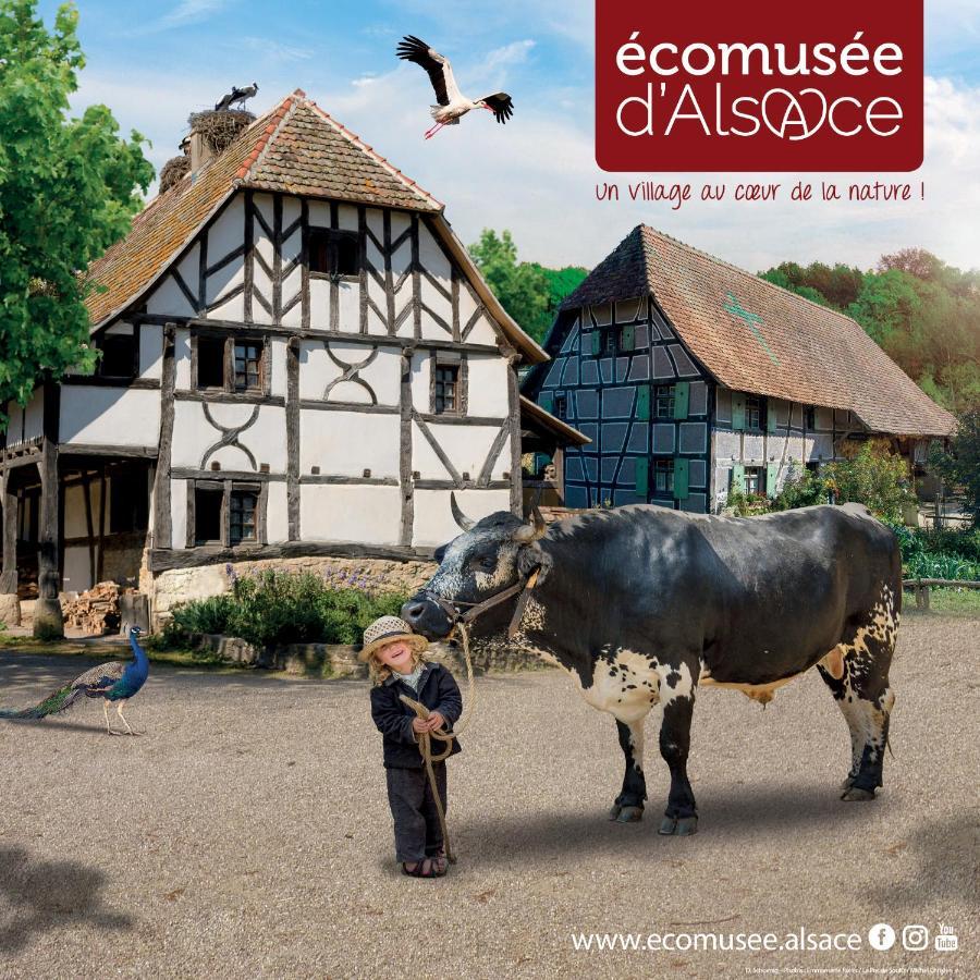 Le Panorama Du Murat Mulhouse Riedisheim 68 Haut-Rhin Alsace Saint-Louis Exterior foto
